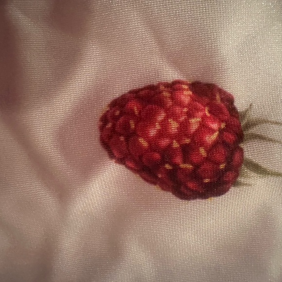 Revolve Fiorucci Milano White and Red Strawberry Raspberry Print Bustier Top NWT - Picture 7 of 11